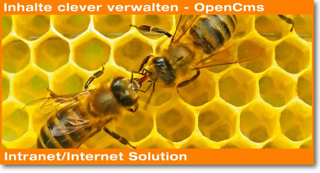OpenCms ist ein javabasiertes Open Source Web Content Management System, das für Internetauftritte und Intranets flexibel und anwenderfreundlich schon über viele hre erfolgreich am Markt zum Einsatz