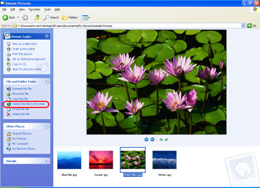 4. Sobald díe Registrierungsdatei installiert ist, durchsuchen Sie mit dem Windows-Dateimanager den Ordner, der die zu veröffentlichenden Bilder enthält.