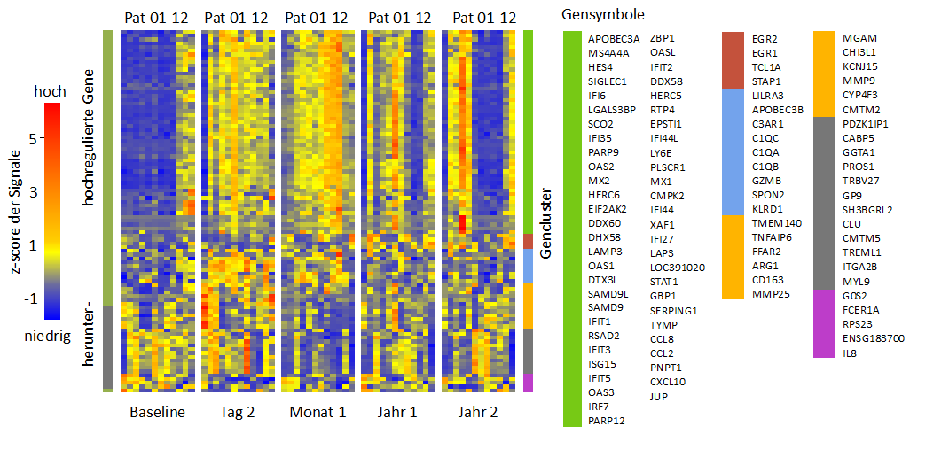 4 Ergebnisse Abbildung 4: Heatmap der Expression unter Therapie modulierter Gene Die Expression der 96 Gene ist für alle Patienten zu allen fünf Zeitpunkten dargestellt, wobei rot hohe Expression und