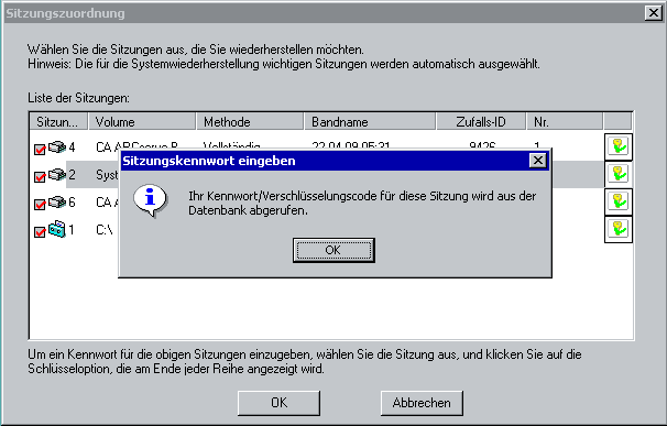 Wiederherstellung nach einem Systemausfall unter Windows 2000 Dieses Dialogfeld enthält folgende Informationen: Formatierte Partitionen: Speicherplatz, der partitioniert und formatiert wurde.