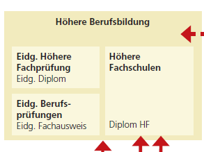 Bildungssystem Schweiz Höhere Fachschulen (HF) Höhere Fachschulen (HF) gehören zu höheren Berufsbi