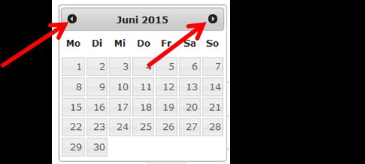 Klicken Sie auf das Kalender-Symbol, um einen bestimmten Tag auszuwählen. Mit Klicks auf die Dreieck-Buttons können Sie zum vorausgegangenen bzw. kommenden Monat wechseln.