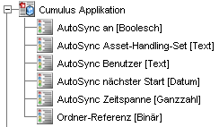 KATEGORIEN 61 fen. Eine Kategorie des Typs Windows-Verzeichniskategorie können Sie nur dann automatisch katalogisieren lassen, wenn Sie unter Windows arbeiten.