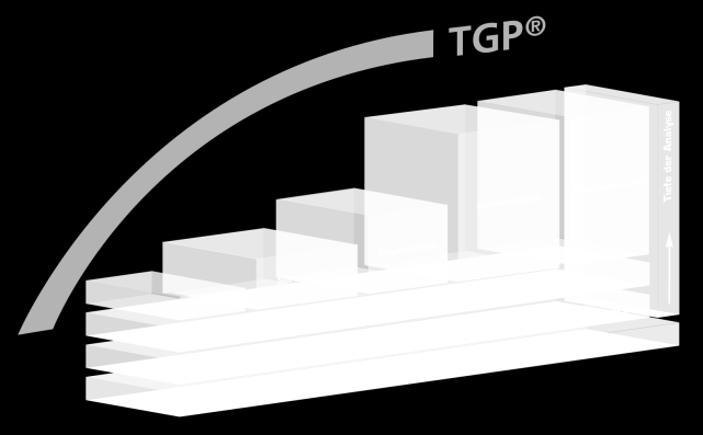 Klassische Werbung digital perfektioniert: TGP Bekanntestes Targetingsystem in Deutschland Höchste Kundenzufriedenheit Innovative TGP