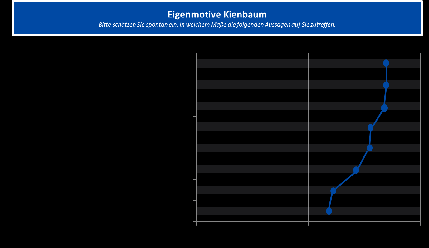 Abbildung 4: Eigenmotive Kienbaum (Mittelwerte). Darstellung: Kienbaum Institut @ ISM, 2015.
