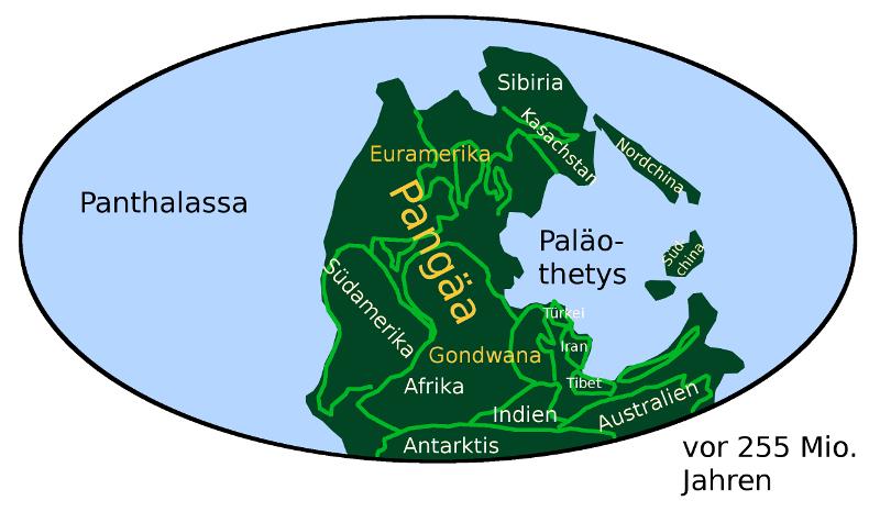 Perm Pangäa Im Perm entstand der Superkontinent Pangäa, der alle Landmassen in sich vereinigte.
