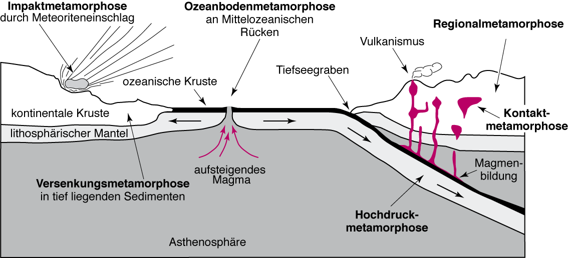 4. Metamorphe Gesteine 4.1 Allgemeines Metamorphose ist die Umwandlung eines Gesteins unter sich ändernden Druck- und Temperaturbedingungen.