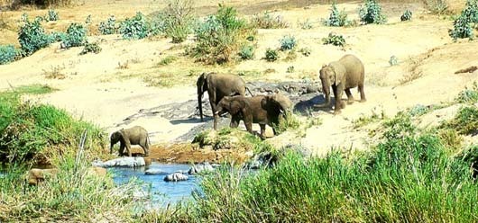 Safari-Autotour durch das nördliche Südafrika (6 Tage) Erleben Sie atemberaubende Naturschauspiele: Blyde River