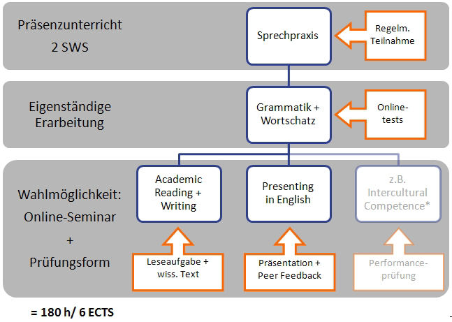 3.2. Kursstruktur Die neuen Business English Intensive Courses umfassen Präsenzunterricht im Umfang von 2 SWS, die eigenständige Erarbeitung und Vertiefung von Grammatik und Wortschatz anhand der
