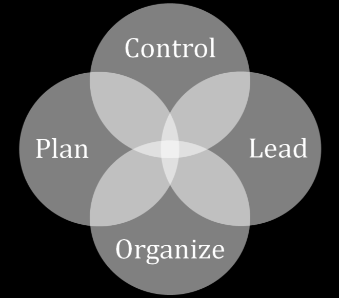 Organisation und Unternehmensführung Tätigkeitsbild von Managern: Planung der Unternehmensaktivitäten strategisch operativ Entscheidungen treffen Allokation von Ressourcen
