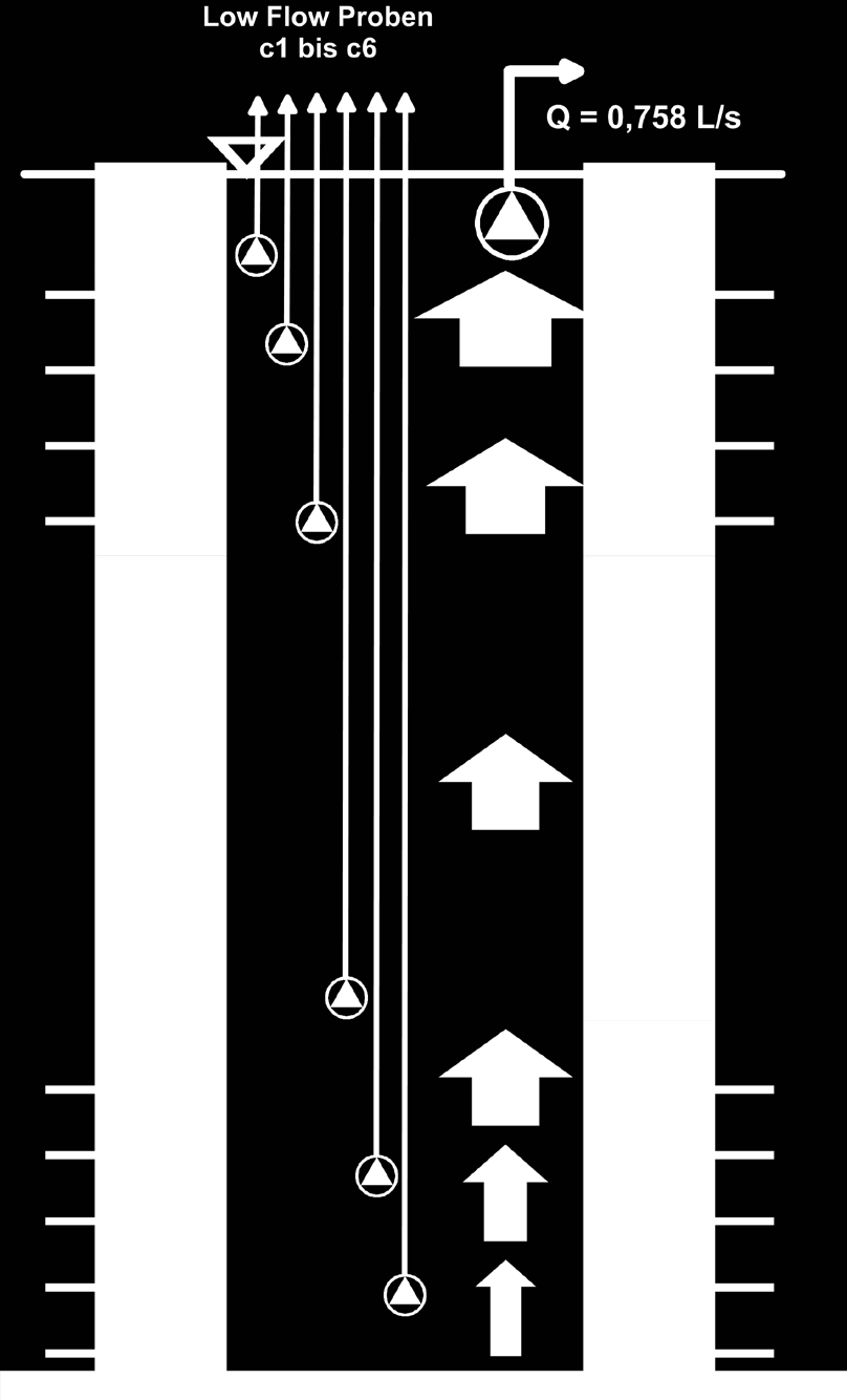 Abbildung 7-10: Ergebnisse einer tiefenhorizontierten LHKW-Beprobung mit dem Multilevelpumpen/Thermo-Flowmeter-Verfahren 7.