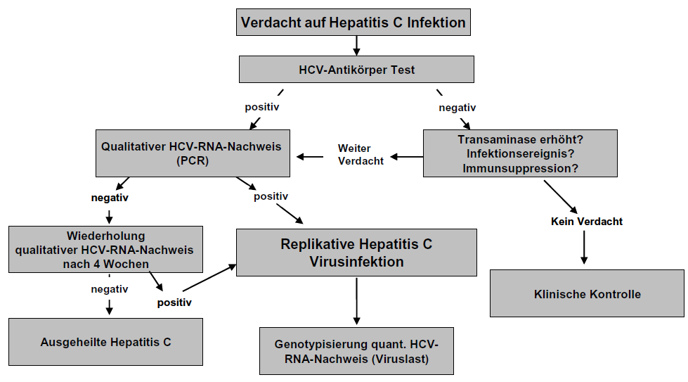Einleitung Im frühen Stadium einer akuten Hepatitis C Infektion können noch keine virusspezifischen Antikörper detektiert werden; sie sind erst 7-8 Wochen nach der Infektion nachweisbar.