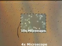 Prozesskontrolle Beispiel Zellwachstum Linsenloses Mikroskop Digitale holografische Abbildung direkt im Inkubator mit: Laserdiode Mikrofluidikchip 10 MP CMOS Sensor Vorteil gegenüber Lichtmikroskop: