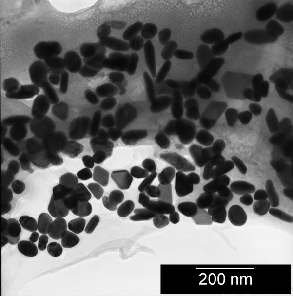 Abbildung 47: Transmissionselektronenmikroskopische Aufnahme von PVP-stabilisierten Gold-Nanopartikeln, dargestellt mit verminderter Citrat-Konzentration.