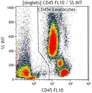 Beispiel T-Zellen: in vivo akute und chronische Aktivierung FL1 CD57 FL2
