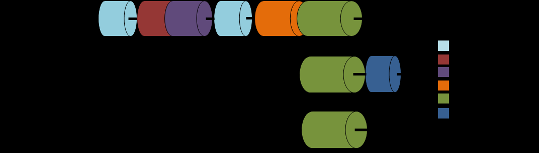 Einleitung Abbildung 1.5: Schematische Übersicht der Proteindomänen von Hen1. Vergleichend sind hier die Domänen eines pflanzlichen Vertreters A. thaliana, und zwei Vertreter der Tiere M.