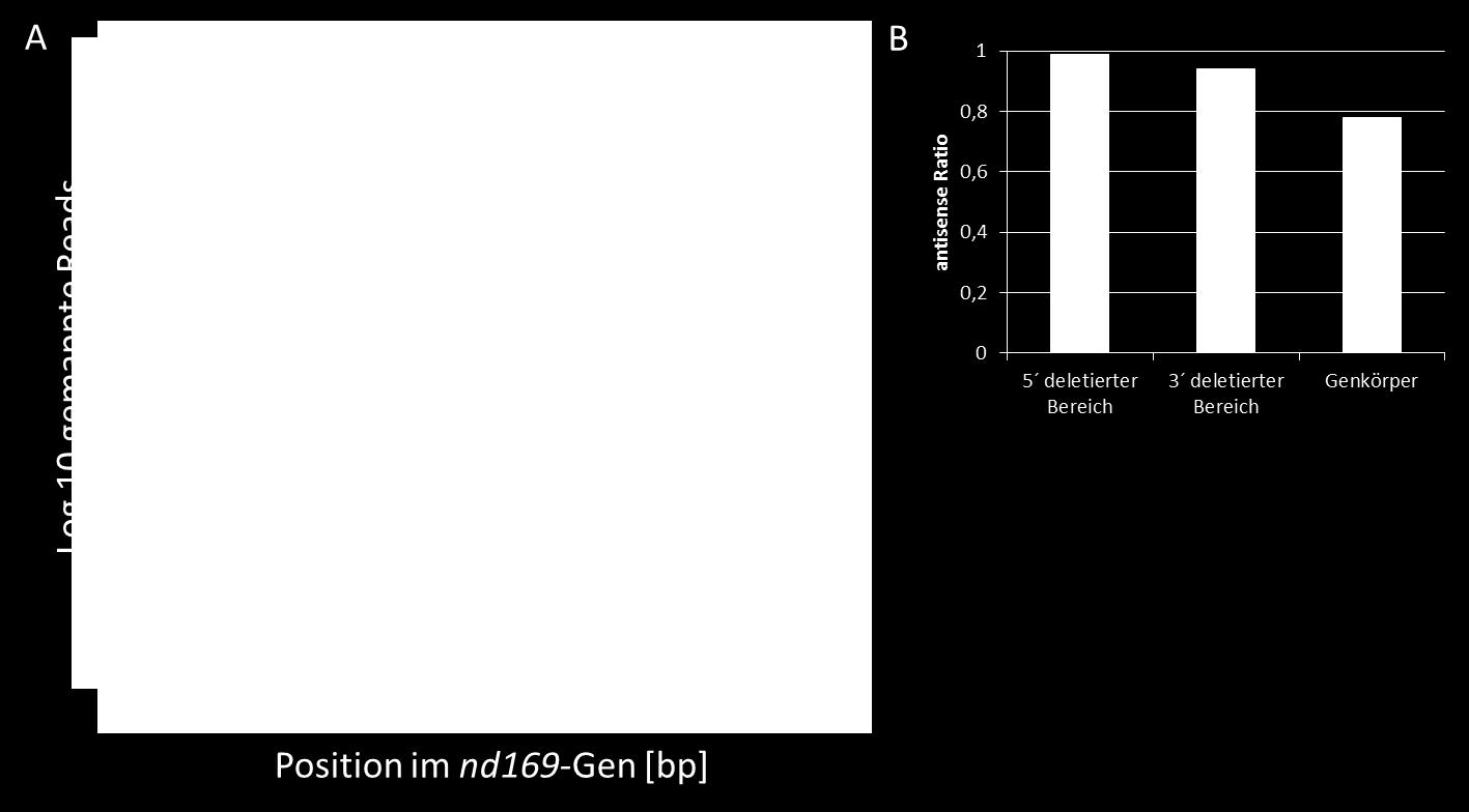 Ergebnisse den für Arabidopsis beschriebenen transitiven sirnas, da diese mrna des endogenen nd169-gens ursprünglich Ziel der vom Transgen synthetisierten primären sirnas ist.