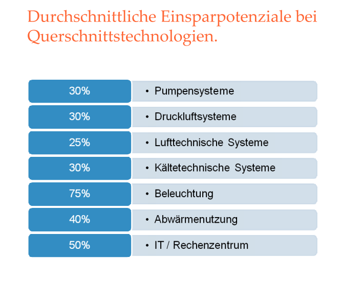 Vorgehensweise Erarbeiten von Energiebilanz und Einsparpotenzialen durch Ihren Energieeffizienzberater Nutzen der