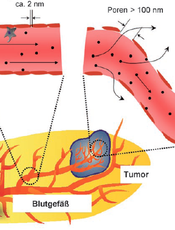 Anwendungen Molekulare Bildgebung - passives Targeting Anreicherung in Krebszellen kleiner hydrodynamischem