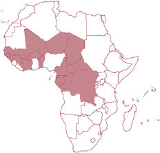 Staaten in West- und Zentralafrika mit dem Zweck der Schaffung eines einheitlichen Handelsrechts gegründet wurde.