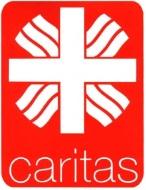 Hilfsdienst Sanitätsdienst Rettungsdienst Fahrdienste Hausnotruf Ausbildung Krankenhaus Ambulante Pflege Hospiz Caritas- Konferenzen