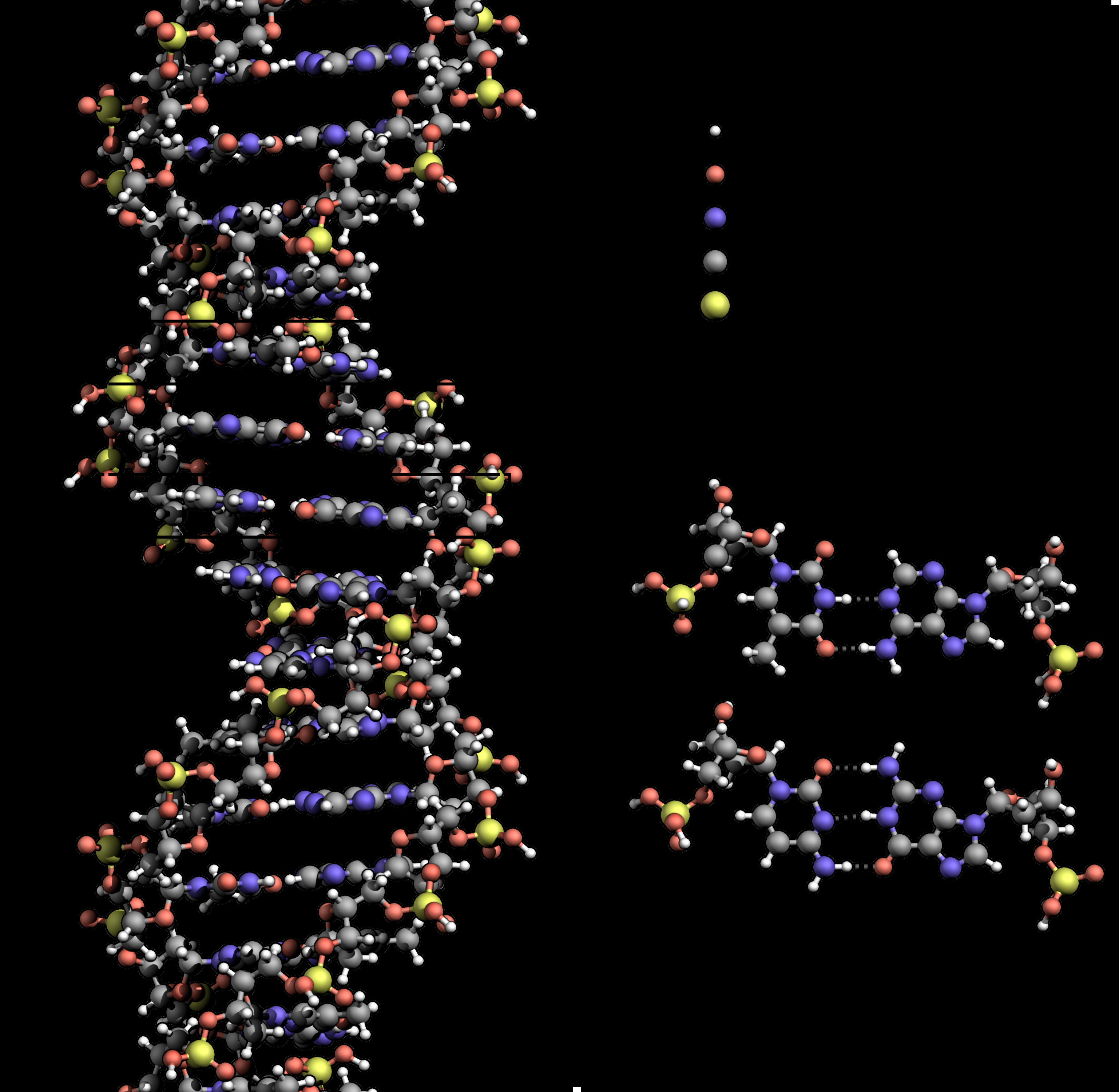 3 DNA-Schäden und ihre Reparaturmechanismen Abbildung 3.