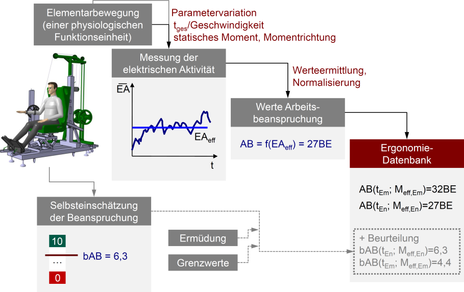 Dissertation Jens Mühlstedt meterabhängigen Werte der mittleren Arbeitsbeanspruchung bilden die Ergonomie-Datenbank.