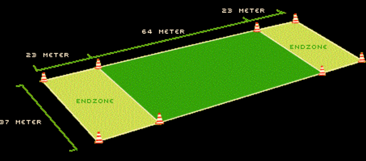 1.1. Zehn einfache Regeln 1. das Spielfeld - ein rechteckiges Feld mit Endzonen auf jeder Seite.