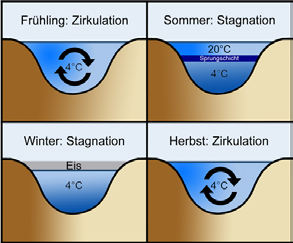 Sommer Im Sommer kann die Sonne die Oberfläche des Sees sehr stark erwärmen. Wärmeres Wasser dehnt sich aus und wird daher weniger dicht. Es bilden sich Schichten mit verschiedenen Temperaturen.