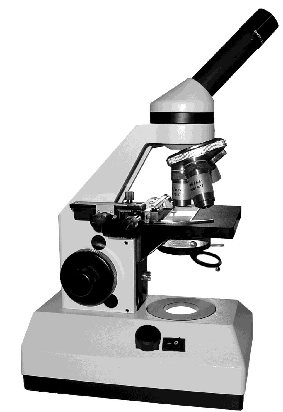 Aufbau eines Lichtmikroskops Du brauchst: 1 Lichtmikroskop 1 Ausschneidebogen 1: 2: