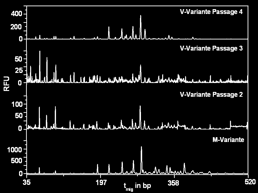 Abbildung 4-23: geshifteter Overlay der HA N-Glykanfingerprints der M-Variante des human-influenza- A-Virus H3N2 und der V-Variante in den Passagen 2-4; t mig ist angegeben in bp (normiert auf den