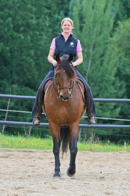 Das Pferd bestimmt die Dauer der Ausbildung Von Kaja Stührenberg Irgendwann steht für viele Pferdebesitzer die Entscheidung an, ein Pferd in Beritt zu geben.