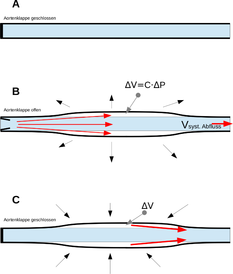 Abbildung 8: Windkesselfunktion der großen Arterien A: Nach Ablauf der Diastole herrscht der diastolische Blutdruck P dia vor. Das Gefäß ist entspannt und nahezu zylinderförmig.