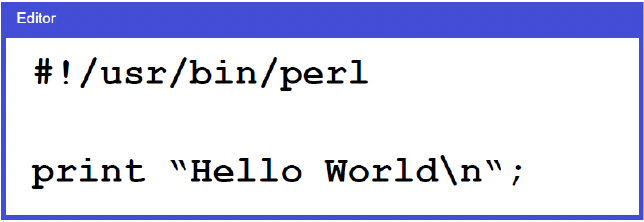 Programm ausführen 27 Speichern unter hello.pl ENTWEDER Programm ausführen: perl hello.pl ODER Datei unter UNIX ausführbar machen: chmod a+rx hello.