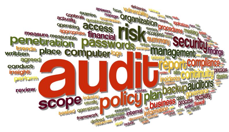 Agenda Audits und die EU Kommission Auditierungsflut aus Sicht des Dienstleisters Audittypen und Audit Notwendigkeiten Der