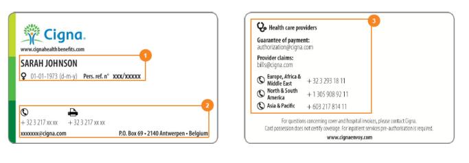 Die Freiwilligen müssen mindestens 2 Wochen vor ihrer Abreise versichert werden, und die Versicherung muss den gesamten Zeitraum der jeweiligen EFD-Aktivität abdecken.