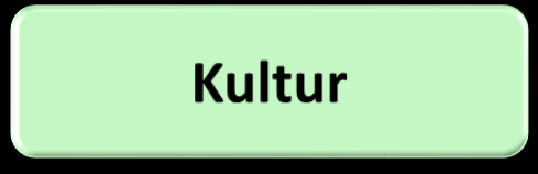 Handlungsebenen Neue Kultur des Alterns, Normen, Werte Politische Rahmenbedingungen (Gesetzgebung/ Lobbyarbeit) Branche