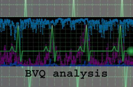 BVQ Health Check Risiko Analyse: Überlastungen in den Knoten, den Caches und den SAN Ports werden erkannt. Performance Bottleneck Analyse: Gibt es erkennbare Anzeichen von Bottlenecks?