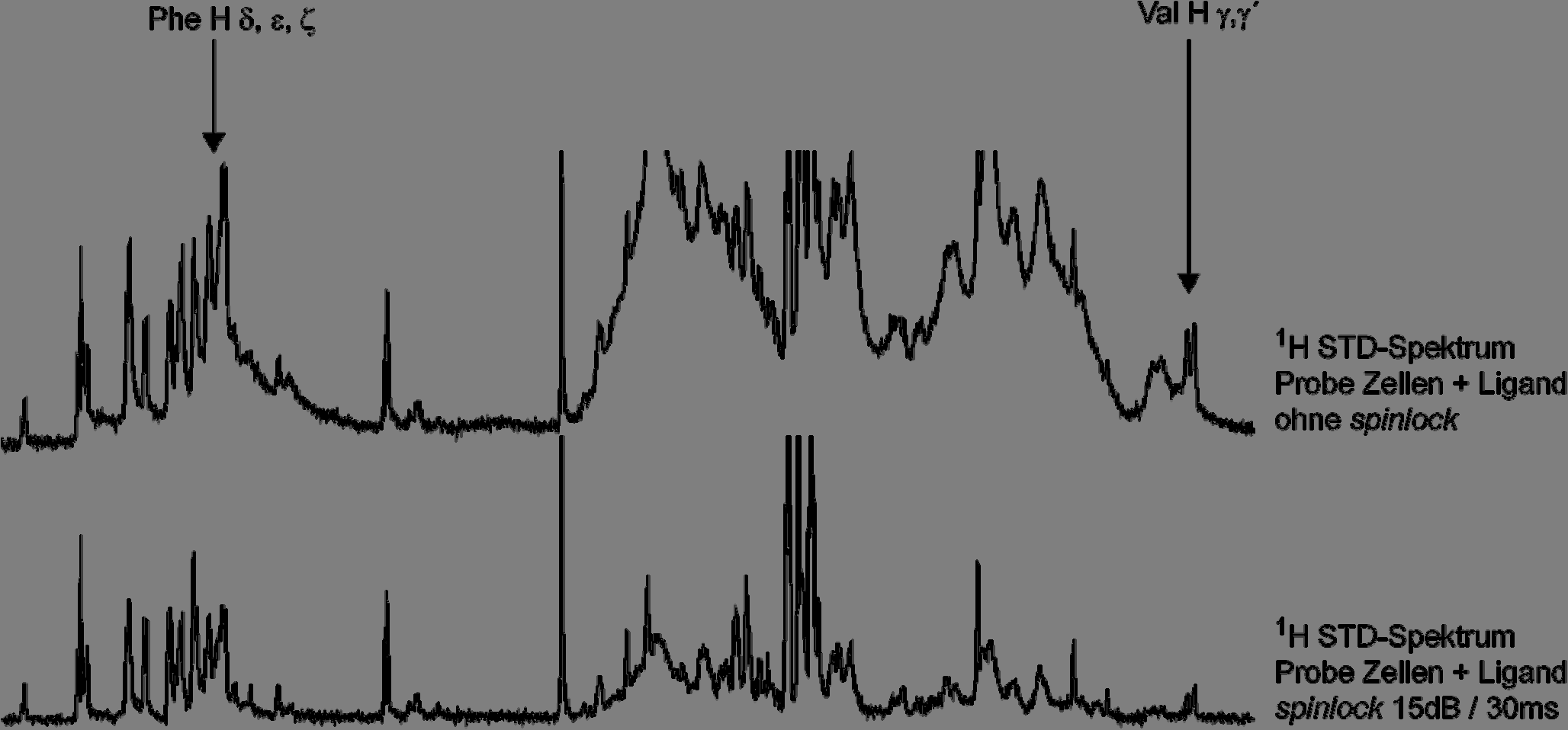 ERGEBNISSE UND DISKUSSION Die Anwendung eines so genannten spinlock-feldes oder T 1ρ -Filters ist eine etablierte NMR Methode, um Signale großer Moleküle zu unterdrücken.