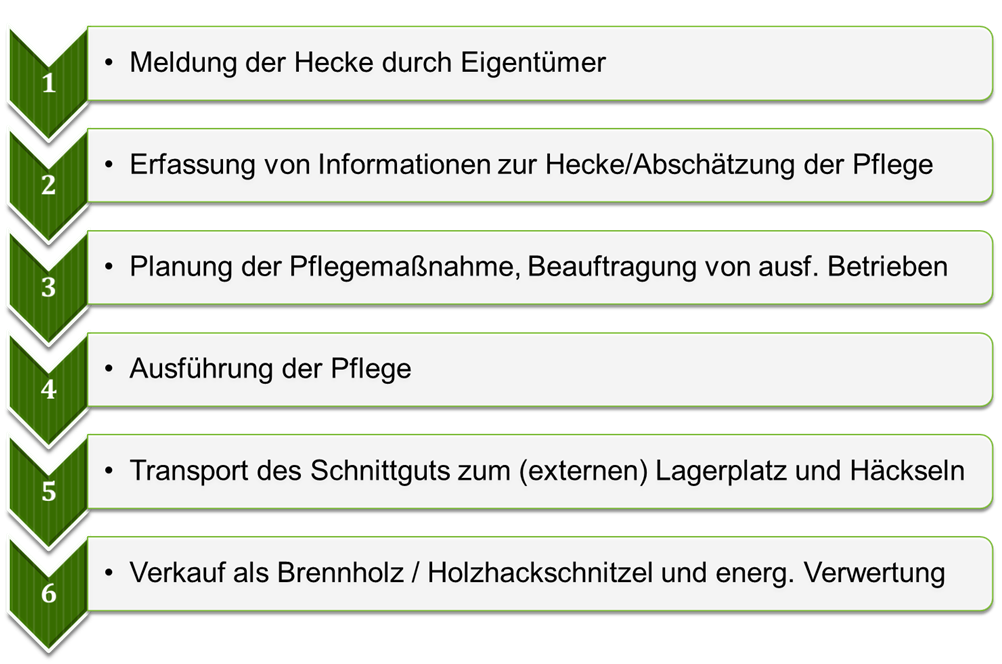 Gehölzmanagement im nördlichen Osnabrücker Land Studienprojekt an der Hochschule