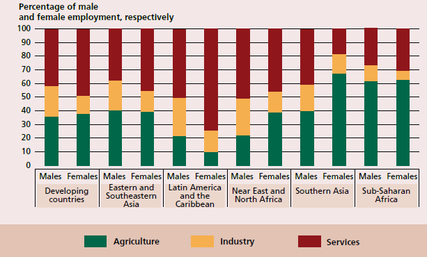 Anteil der Beschäftigten, nach Geschlecht (Landwirtschaft, Industrie, Dienstleistungssektor) FAO