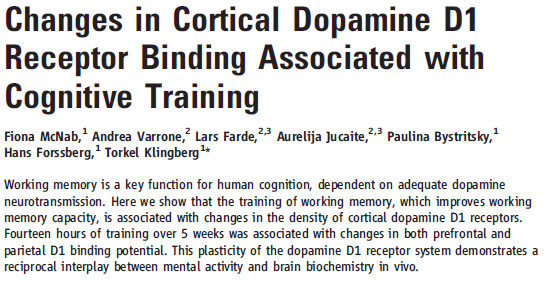 & Gehirn Strukturelle Änderungen 3 Monate Training: Zunahme der grauen Substanz Transmitter-Änderungen Boyke et al.