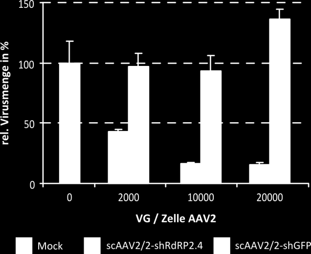 ERGEBNISSE 66 Abbildung 5.6: Virus-Inhibierungsassay mittels scaav2/2-shrdrp2.4. HeLa-Wis-Zellen wurden mit unterschiedlichen Dosen scaav2/2-shrdrp2.4 bzw.