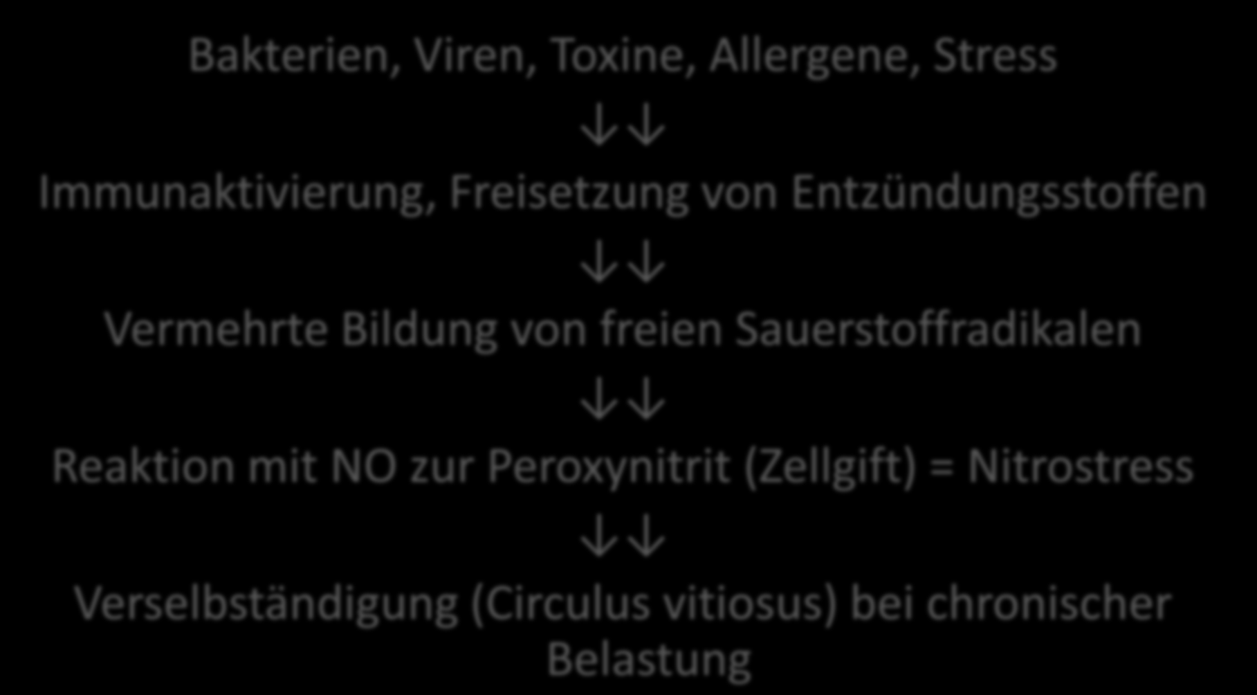 Nitrostress und Mitochondrienschädigung Bakterien, Viren, Toxine, Allergene, Stress Immunaktivierung, Freisetzung von Entzündungsstoffen Vermehrte