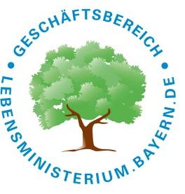Bayerischer Rahmenhygieneplan für Infektionsprävention in stationären Einrichtungen für ältere Menschen und pflegebedürftige Volljährige i. S. d.