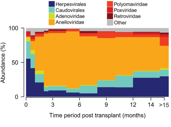 Mikrobiom bei Transplantierten 96 Tx-Empfänger (Herz, Lunge) und 656 Plasmaproben