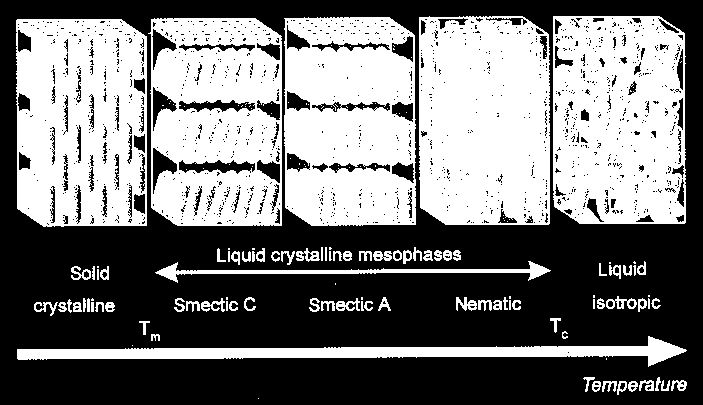 Flüssigkristalle Arten und Phasen Thermotropischer LC: Zustand zwischen Tm und Tc Phase variiert mit T Lyotropischer LC: amphiphile Lösungsmittel z.b.