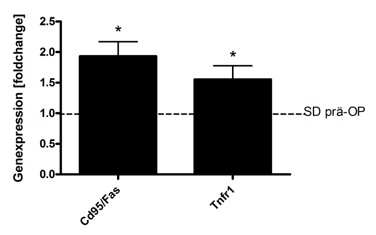 3 Ergebnisse Die Fettakkumulation im Lebergewebe der WD-Tiere erzeugte eine verstärkte Expression der FATP Cd36/Fat, Fabp-1 und Fatp-5. 3.3.3. Expression von DR, Apoptose- und Autophagie-assoziierter
