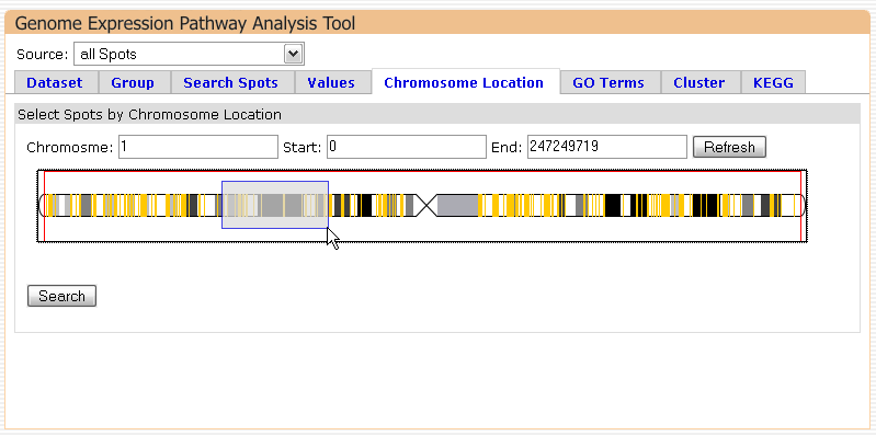 3.8 Chromosomale Daten Abbildung 38: Genansicht Auf der oberen Chromosomübersicht kann durch Aufziehen eines Bereiches mit der Maus eine Detailansicht der ausgewählten Region dargestellt werden.