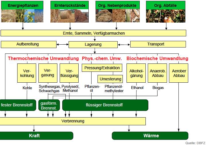 Bioenergie